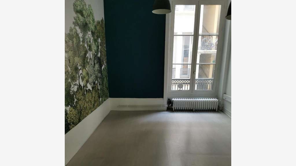 A louer bureaux à Lyon 2e Rue de la République