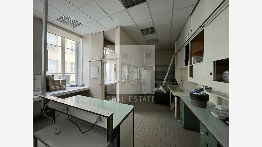 A louer bureaux lumineux 400m² Lyon Presqu'île