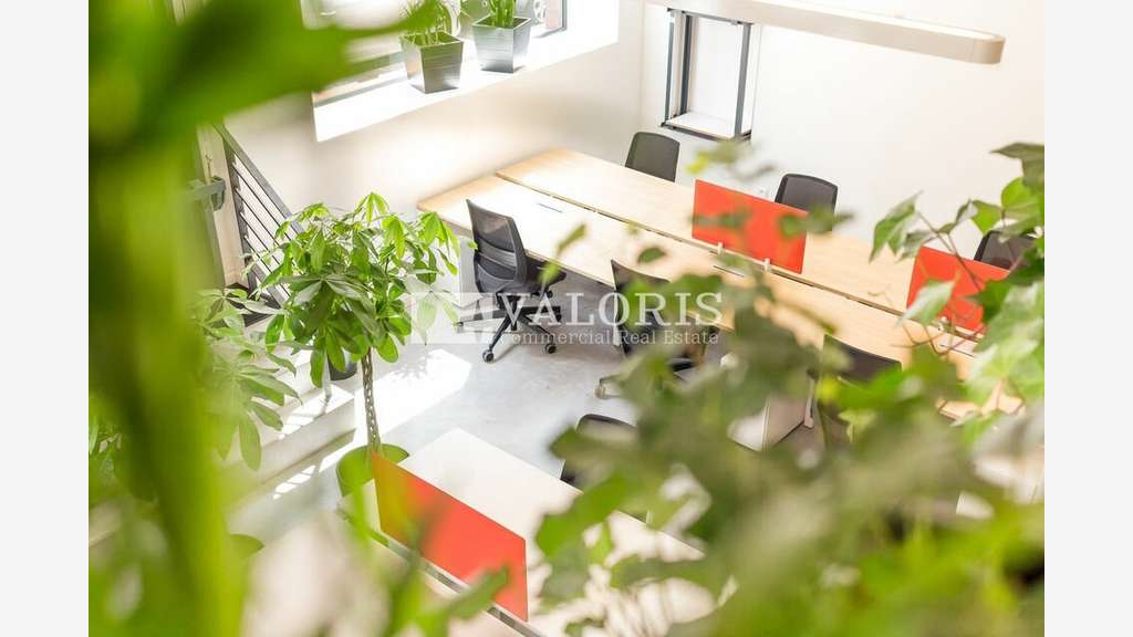 A louer local 376m² Lyon 3e proche gare Part-Dieu