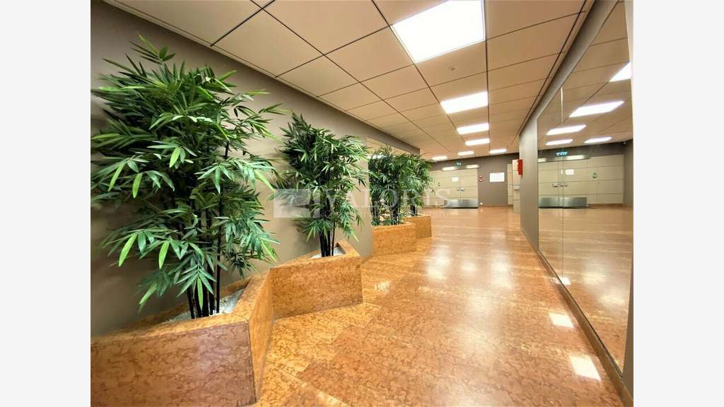 Bureaux à louer à Lyon 3e proche Gare Part Dieu