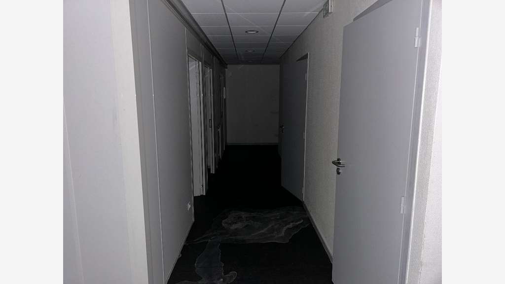 Location local 367m² à Villeurbanne