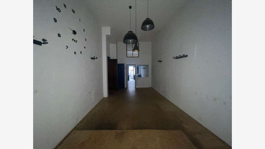 Location local 66m² Rue Chalopin à Lyon 7e