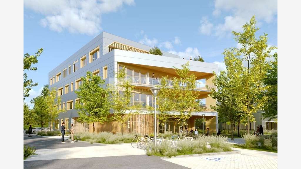 Bureaux neuf avec terrasses à louer à Lyon 7e