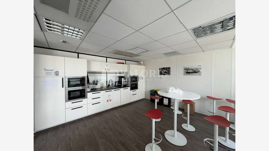 Bureaux lumineux avec terrasse à louer à Lyon 7e