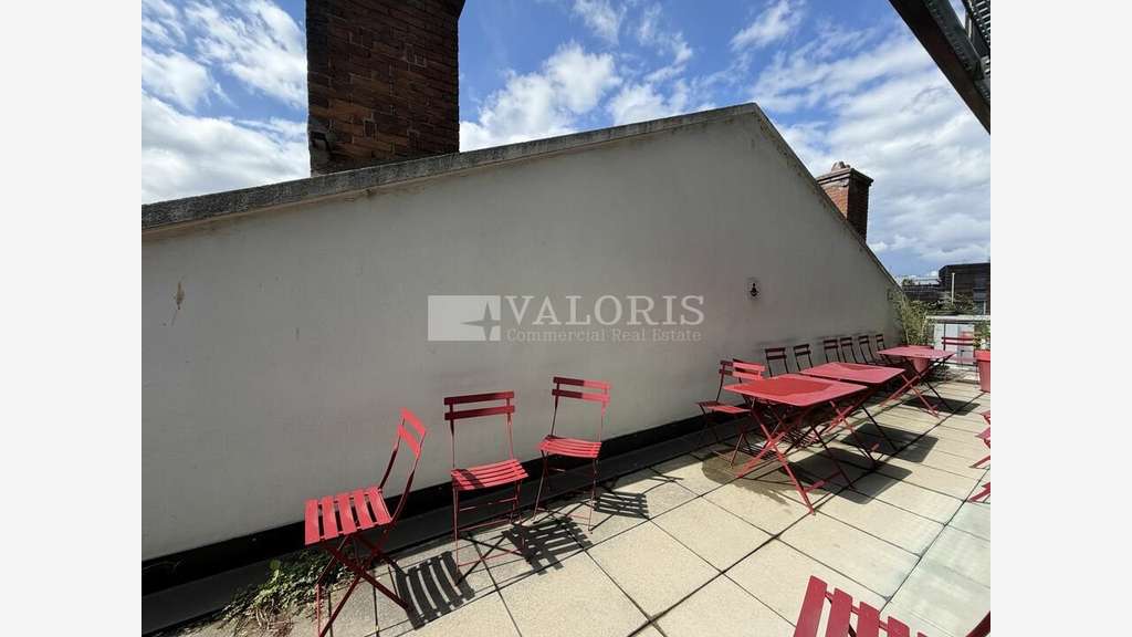 Bureaux lumineux avec terrasse à louer à Lyon 7e