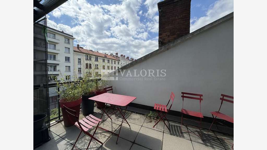 Bureaux lumineux avec terrasse à louer à Lyon 7e