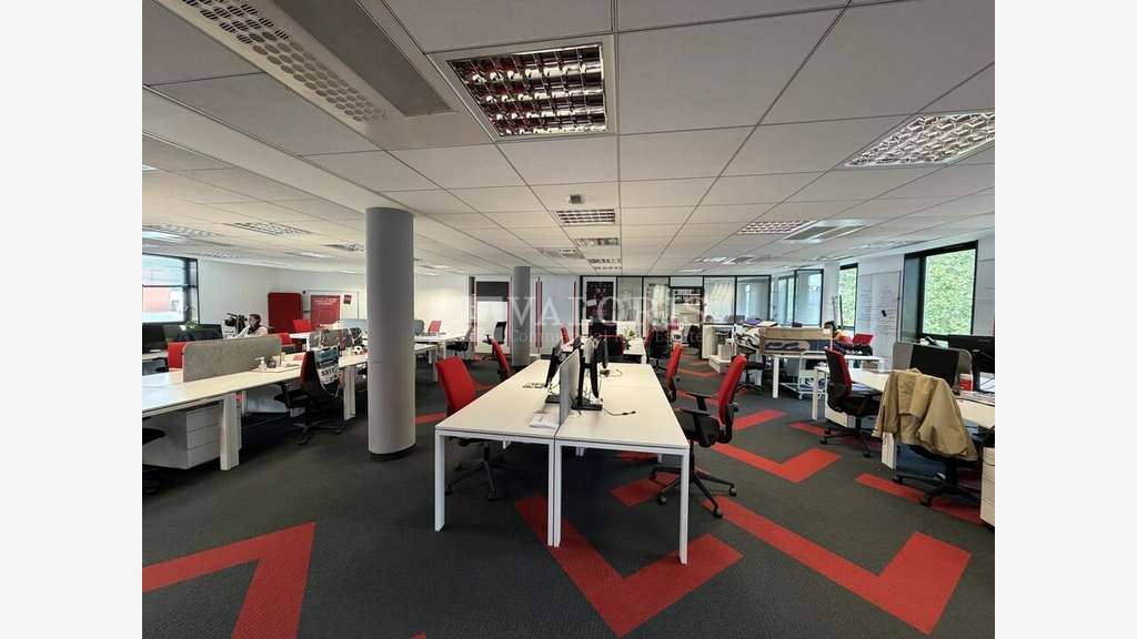 Bureaux lumineux avec terrasse à louer à Lyon 7e
