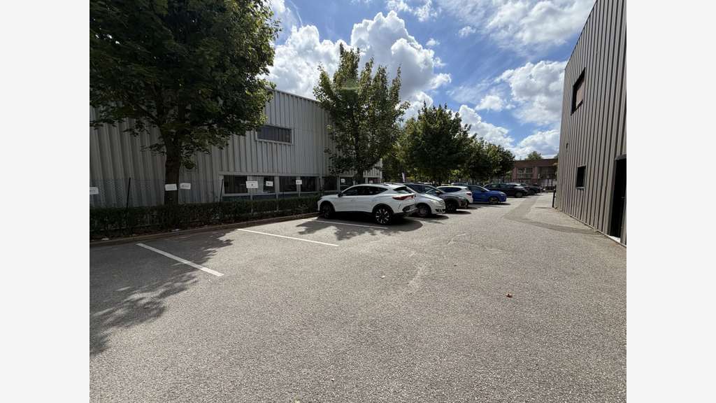 Immobilier Professionnel à louer