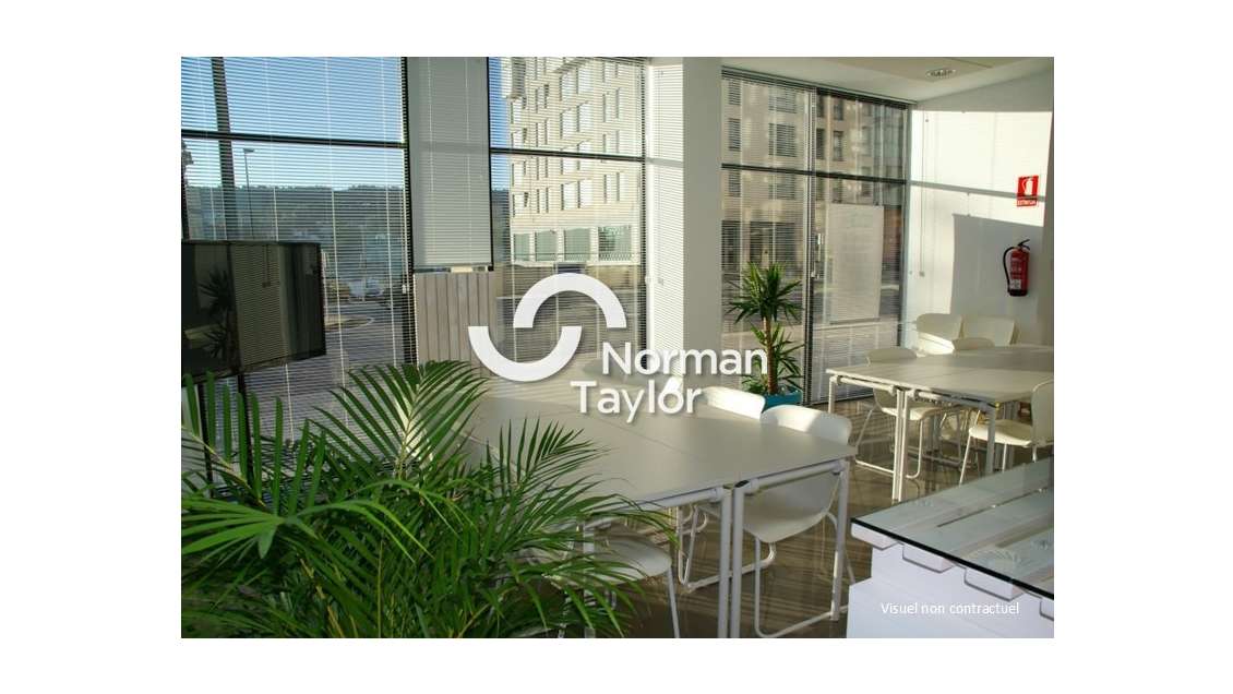 Loue bureaux équipés 746m² Montpellier Millénaire