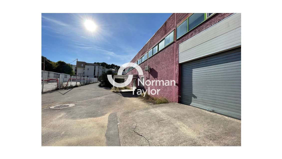 Local mixte à louer à Montpellier Euromédecine