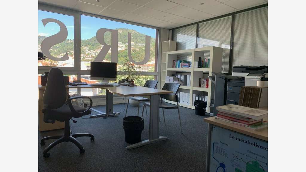 Location pure bureaux 225m² proche Acropolis àNice