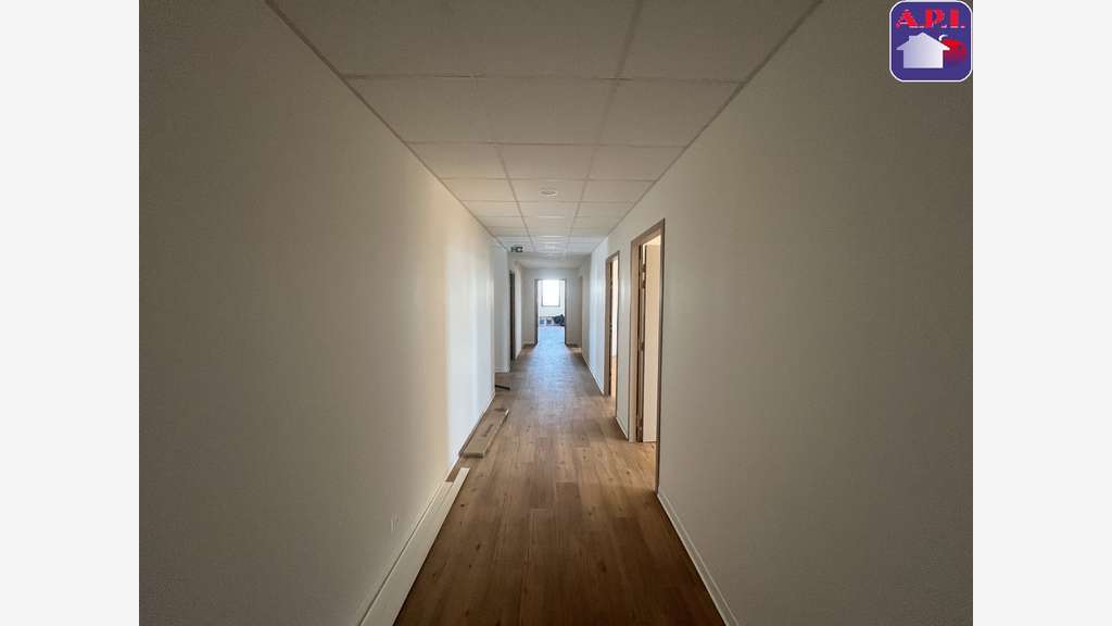 Location locaux ZA Village Automobile Pamiers 