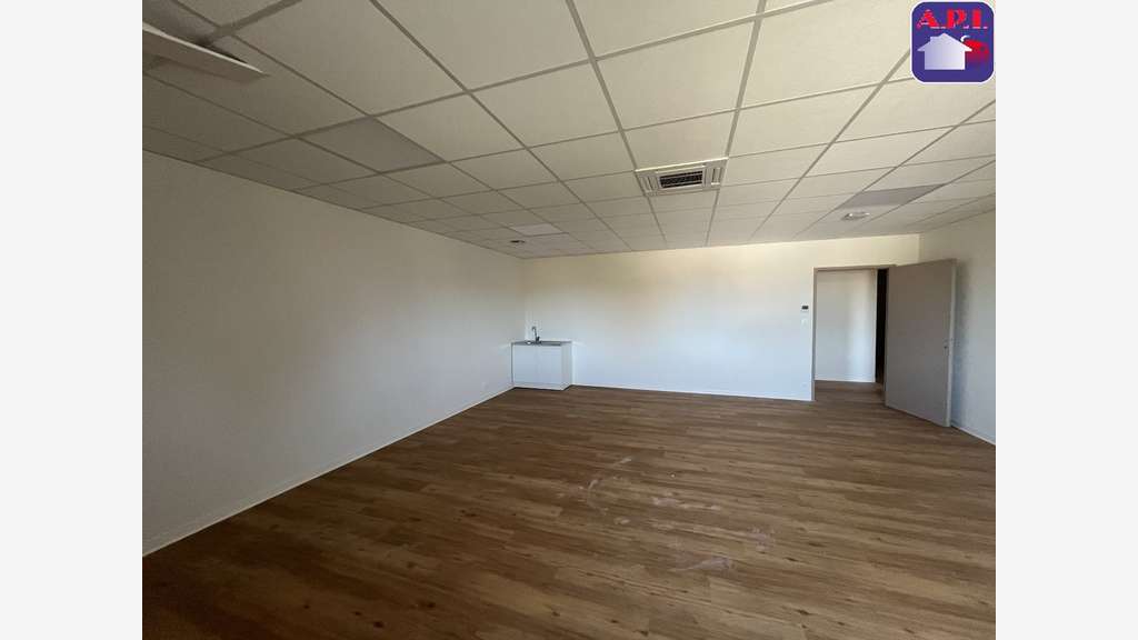 Location locaux ZA Village Automobile Pamiers 
