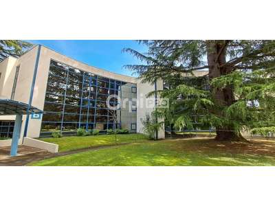 Location Bureaux à Pau