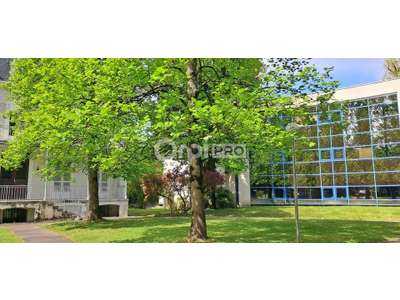Location Bureaux à Pau