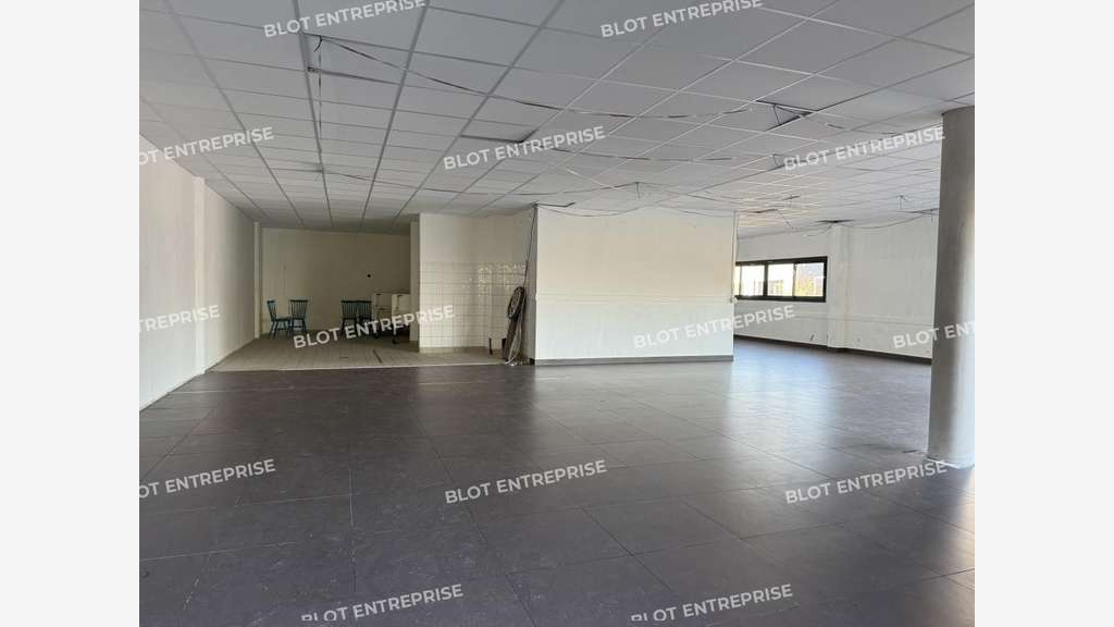 A louer local professionnel 152m² Vannes Plescop