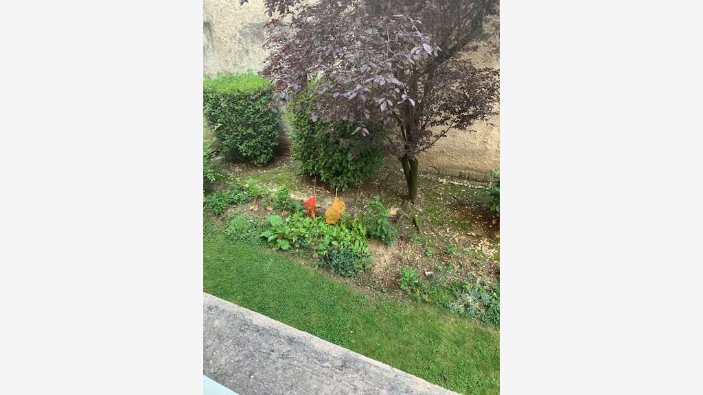 A louer bureaux Rachais 69007 Lyon