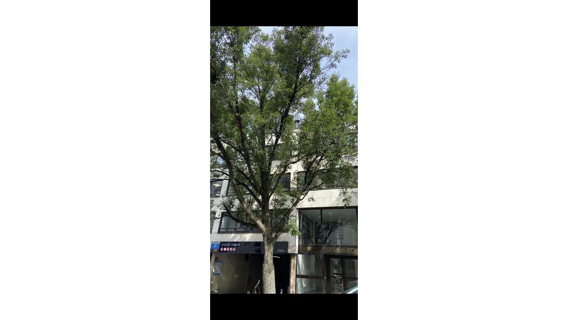 Immobilier Professionnel à louer Rennes