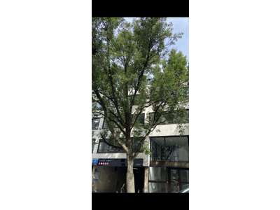 Location Bureaux à Rennes