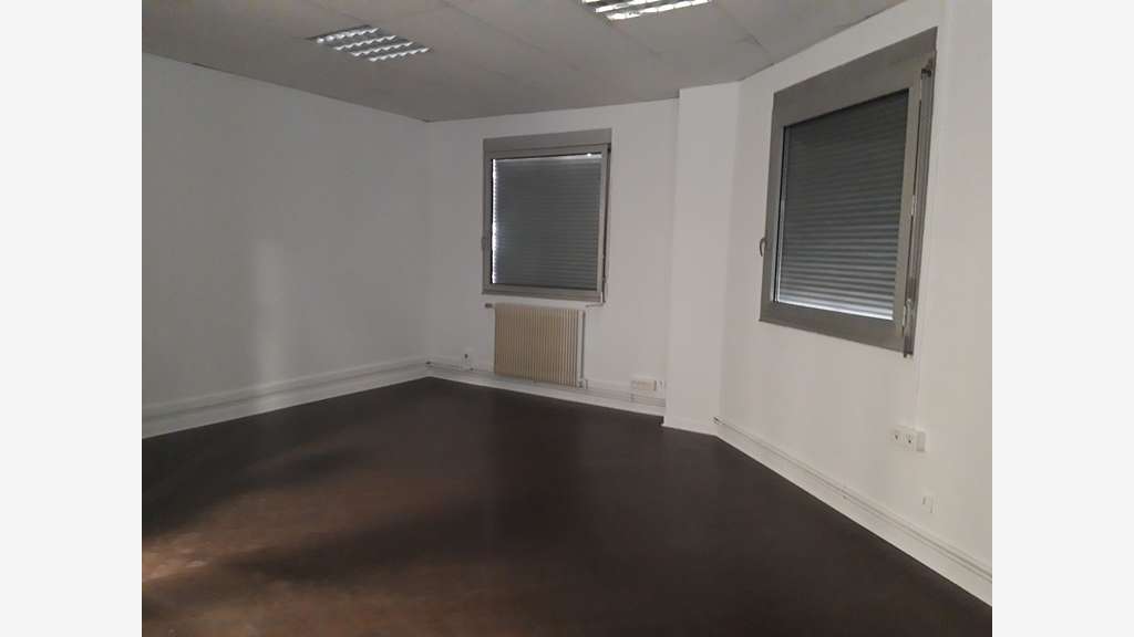 Bureaux 250m² cloisonnés à louer Rillieux-la-Pape