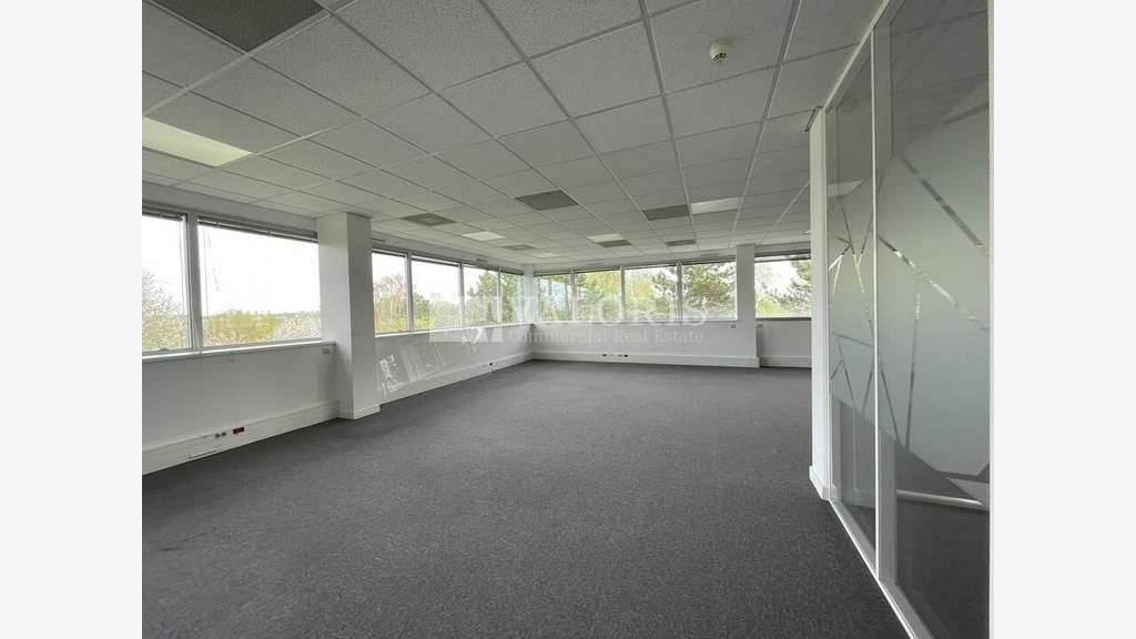 Bureaux 219m² à louer Saint Priest Lake Park