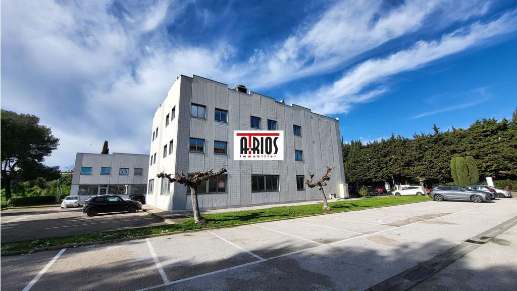 Immobilier Professionnel à louer 