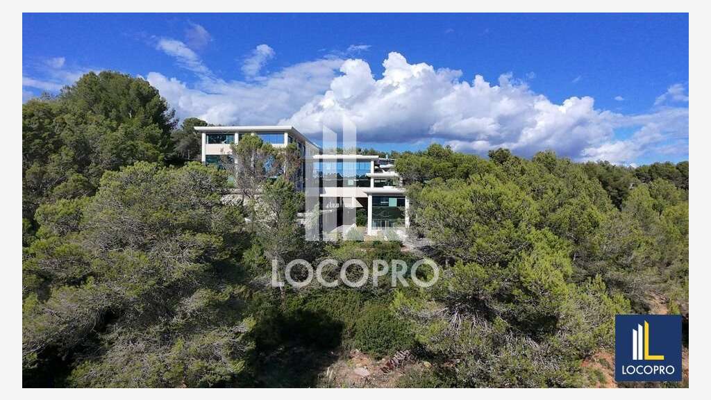 A louer plateau de bureaux 501m² Sophia-Antipolis