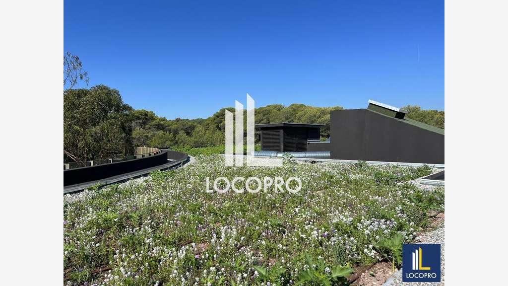 Loue bureaux neufs de 302m² à Sophia Antipolis