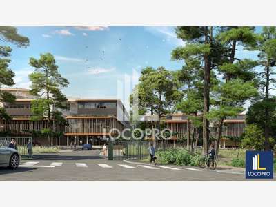 Location bureaux neufs 344m² à Sophia Antipolis
