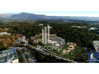 Location Bureaux à Valbonne