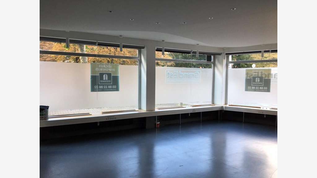 A louer locaux Avenue de Paix Strasbourg Contades