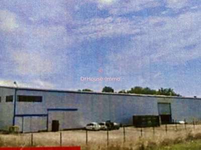 Location Locaux d'activités - Entrepôts à Tancarville