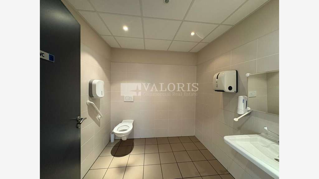 Bureaux lumineux de 599m² à louer à Villeurbanne