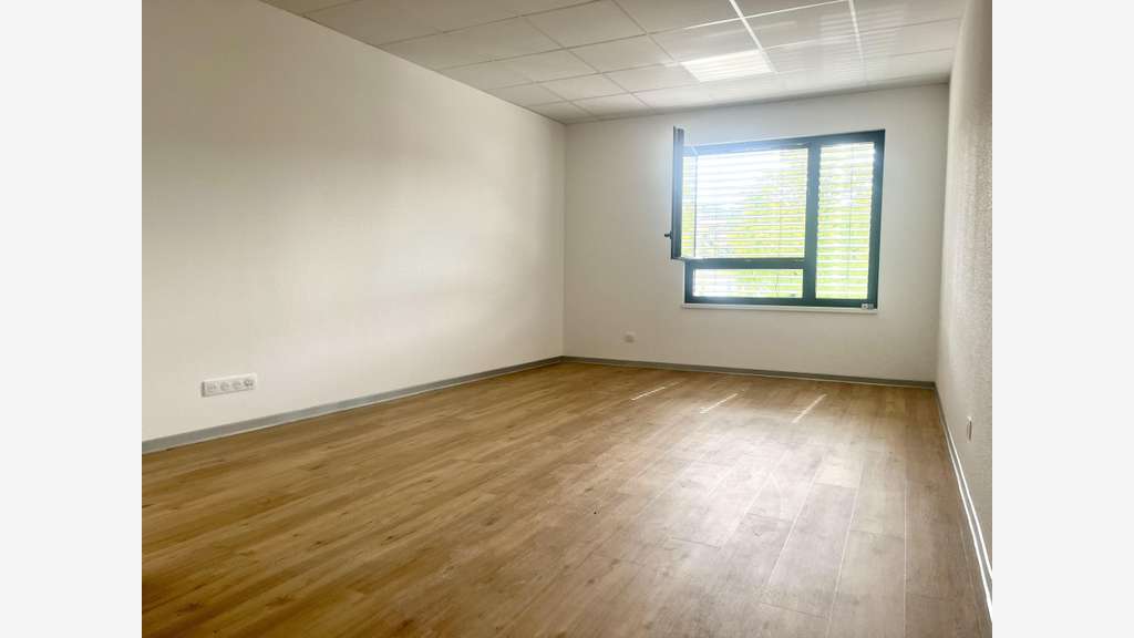A louer cabinet professionnel Brunstatt-didenheim