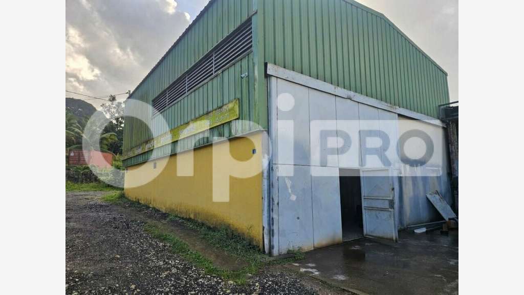 A louer dépôt fonctionnel 230m² à Baie-Mahault