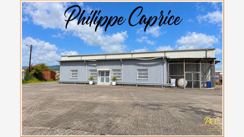 A louer entrepôt 917m² + bureaux 160m² au Lamentin