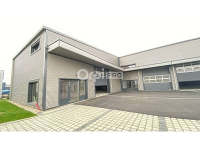 Location Locaux d'activités - Entrepôts à Mulhouse