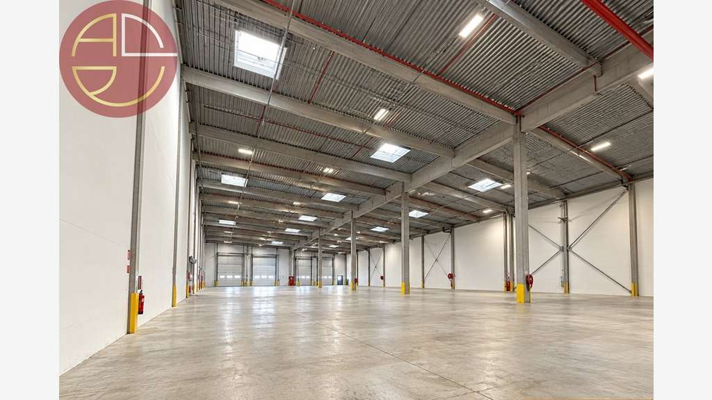 A louer entrepôt 6375m² à Grisolles ZAC Saint-Jean