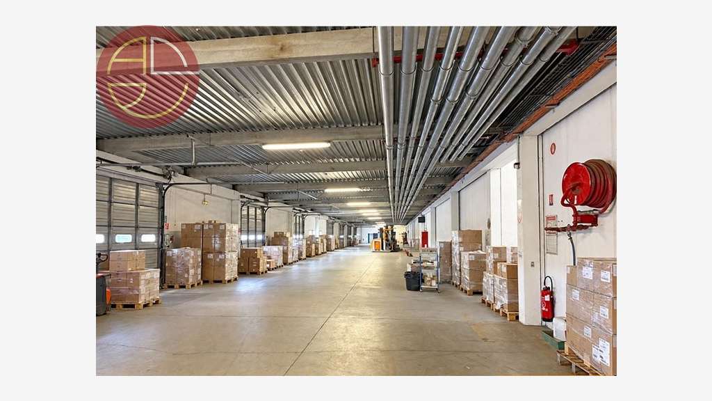 A louer entrepôt 6375m² à Grisolles ZAC Saint-Jean