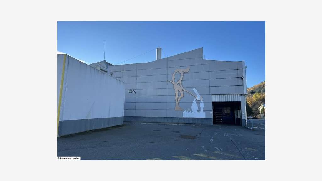 A louer entrepôt industriel 7471m² à Viviez