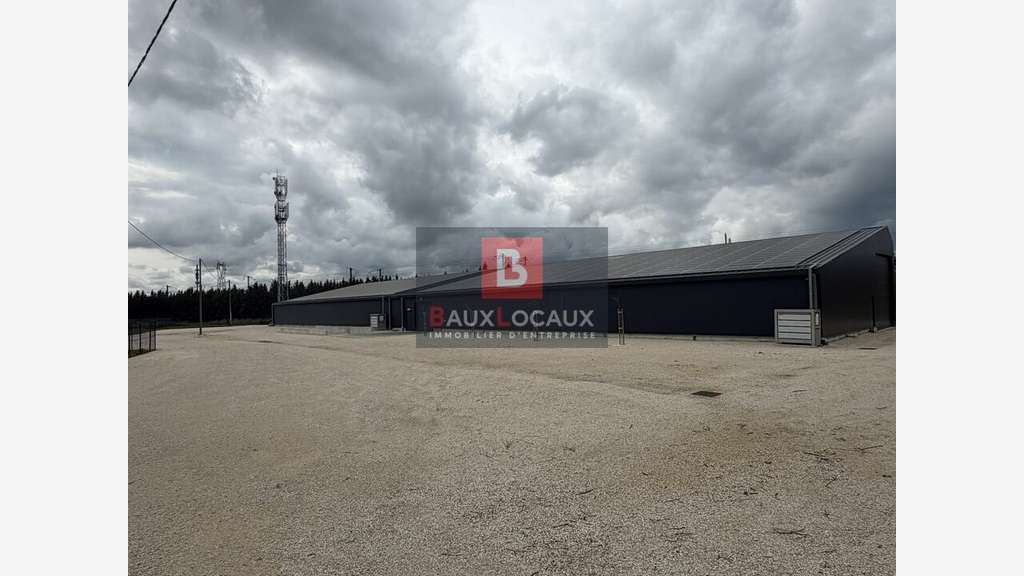 Entrepôt logistique 1350m² à louer à Pierrelatte