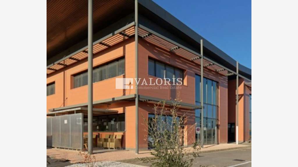 A louer entrepôt logistique à Saint Martin de Crau