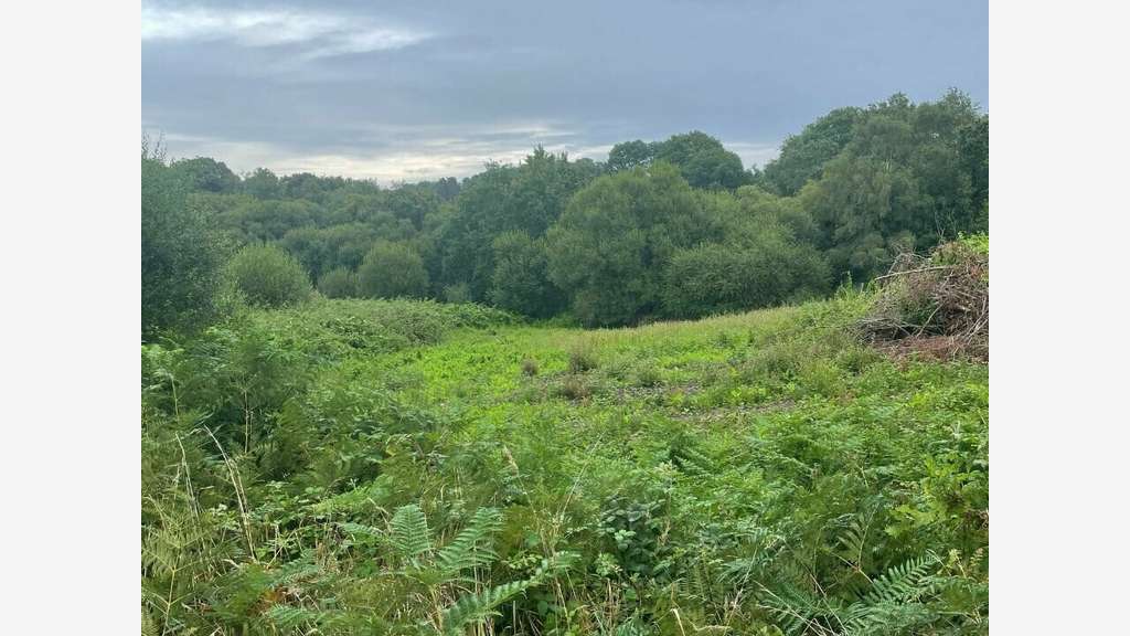 A louer terrain 17000m² projet touristique Vannes