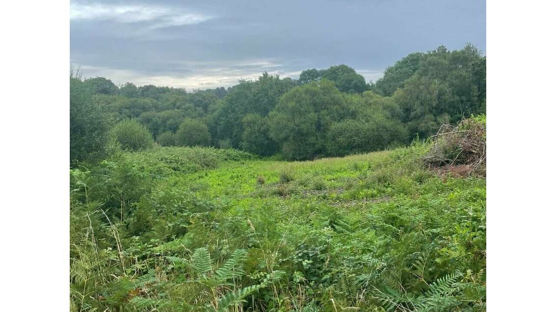 A louer terrain 17000m² projet touristique Vannes