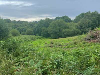 A louer terrain 17000m² projet touristique Vannes