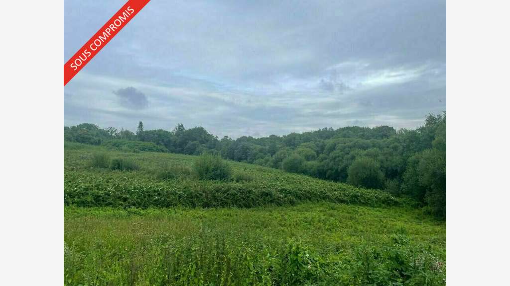 A louer terrain 17000m² projet touristique Vannes