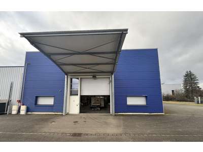 Location Locaux d'activités - Entrepôts à Sélestat