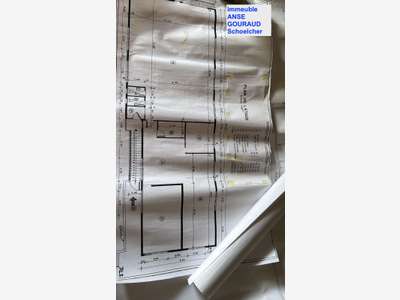plateau neuf  PRO 300m2 Schoelcher Martinique