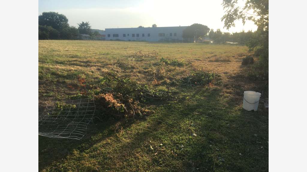 Terrain logistique 5000m2 - Echangeur 7. A62.