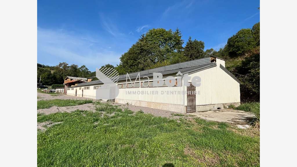 A louer local 500m² avec terrain de 1000m² Cherier